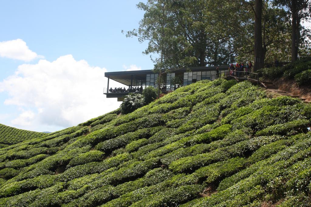 Cameron Strawberry Residence Cameron Highlands Exteriör bild