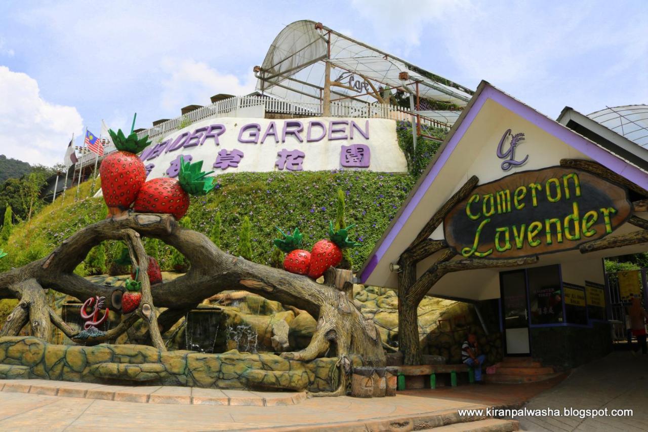 Cameron Strawberry Residence Cameron Highlands Exteriör bild